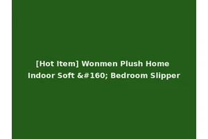 [Hot Item] Wonmen Plush Home Indoor Soft   Bedroom Slipper