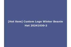 [Hot Item] Custom Logo Winter Beanie Hat 20241030-2