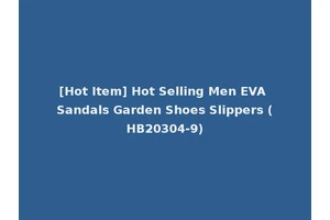 [Hot Item] Hot Selling Men EVA Sandals Garden Shoes Slippers (HB20304-9)
