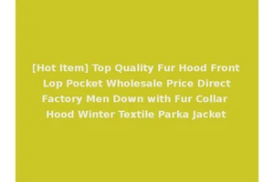 [Hot Item] Top Quality Fur Hood Front Lop Pocket Wholesale Price Direct Factory Men Down with Fur Collar Hood Winter Textile Parka Jacket