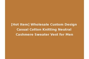 [Hot Item] Wholesale Custom Design Casual Cotton Knitting Neutral Cashmere Sweater Vest for Men