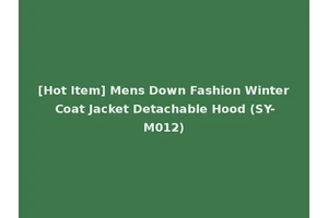 [Hot Item] Mens Down Fashion Winter Coat Jacket Detachable Hood (SY-M012)