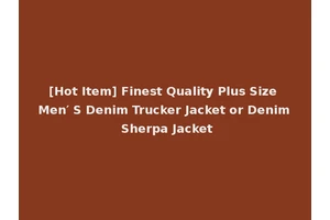 [Hot Item] Finest Quality Plus Size Men′ S Denim Trucker Jacket or Denim Sherpa Jacket