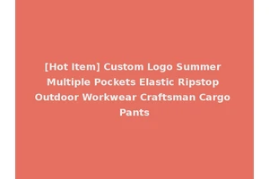 [Hot Item] Custom Logo Summer Multiple Pockets Elastic Ripstop Outdoor Workwear Craftsman Cargo Pants
