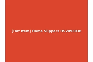 [Hot Item] Home Slippers HS2093036