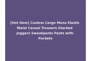 [Hot Item] Custom Cargo Mens Elastic Waist Casual Trousers Stacked Joggers Sweatpants Pants with Pockets
