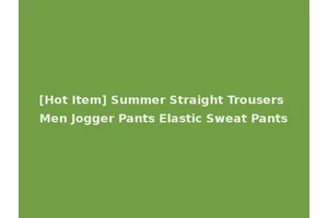 [Hot Item] Summer Straight Trousers Men Jogger Pants Elastic Sweat Pants