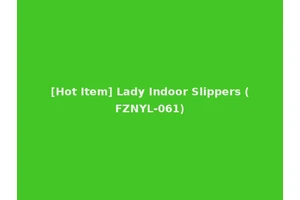 [Hot Item] Lady Indoor Slippers (FZNYL-061)