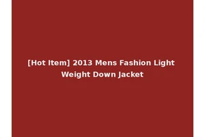 [Hot Item] 2013 Mens Fashion Light Weight Down Jacket