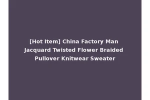 [Hot Item] China Factory Man Jacquard Twisted Flower Braided Pullover Knitwear Sweater