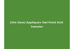[Hot Item] Appliques Owl Point Knit Sweater