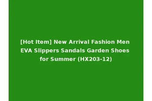 [Hot Item] New Arrival Fashion Men EVA Slippers Sandals Garden Shoes for Summer (HX203-12)