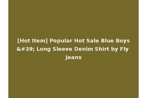 [Hot Item] Popular Hot Sale Blue Boys' Long Sleeve Denim Shirt by Fly Jeans
