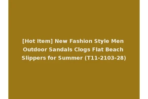 [Hot Item] New Fashion Style Men Outdoor Sandals Clogs Flat Beach Slippers for Summer (T11-2103-28)
