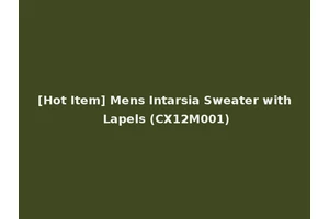 [Hot Item] Mens Intarsia Sweater with Lapels (CX12M001)