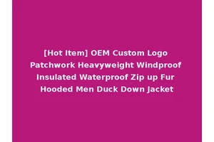 [Hot Item] OEM Custom Logo Patchwork Heavyweight Windproof Insulated Waterproof Zip up Fur Hooded Men Duck Down Jacket