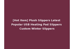[Hot Item] Plush Slippers Latest Popular USB Heating Pad Slippers Custom Winter Slippers
