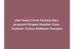 [Hot Item] China Factory Man Jacquard Striped Heather Color Pullover Cotton Knitwear Sweater