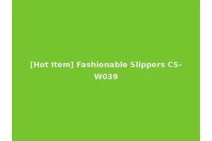 [Hot Item] Fashionable Slippers CS-W039