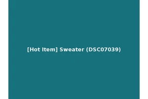 [Hot Item] Sweater (DSC07039)