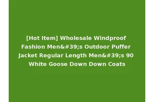[Hot Item] Wholesale Windproof Fashion Men's Outdoor Puffer Jacket Regular Length Men's 90 White Goose Down Down Coats