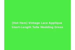 [Hot Item] Vintage Lace Applique Short-Length Tulle Wedding Dress