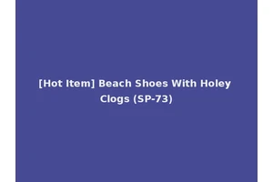 [Hot Item] Beach Shoes With Holey Clogs (SP-73)