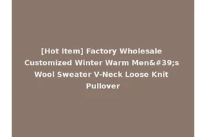[Hot Item] Factory Wholesale Customized Winter Warm Men's Wool Sweater V-Neck Loose Knit Pullover