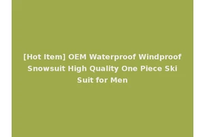 [Hot Item] OEM Waterproof Windproof Snowsuit High Quality One Piece Ski Suit for Men