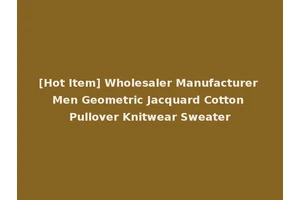 [Hot Item] Wholesaler Manufacturer Men Geometric Jacquard Cotton Pullover Knitwear Sweater