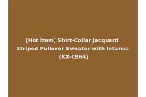 [Hot Item] Shirt-Collar Jacquard Striped Pullover Sweater with Intarsia (KX-CB64)