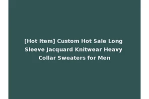 [Hot Item] Custom Hot Sale Long Sleeve Jacquard Knitwear Heavy Collar Sweaters for Men