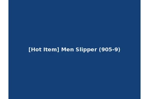 [Hot Item] Men Slipper (905-9)