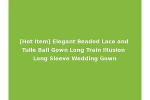 [Hot Item] Elegant Beaded Lace and Tulle Ball Gown Long Train Illusion Long Sleeve Wedding Gown