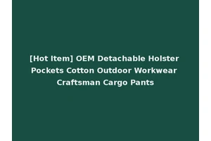 [Hot Item] OEM Detachable Holster Pockets Cotton Outdoor Workwear Craftsman Cargo Pants
