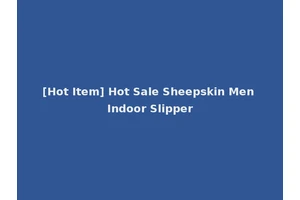 [Hot Item] Hot Sale Sheepskin Men Indoor Slipper