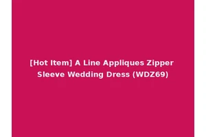 [Hot Item] A Line Appliques Zipper Sleeve Wedding Dress (WDZ69)