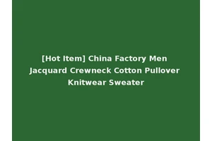 [Hot Item] China Factory Men Jacquard Crewneck Cotton Pullover Knitwear Sweater