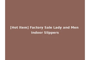 [Hot Item] Factory Sale Lady and Men Indoor Slippers