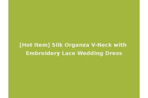 [Hot Item] Silk Organza V-Neck with Embroidery Lace Wedding Dress