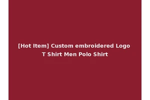 [Hot Item] Custom embroidered Logo T Shirt Men Polo Shirt