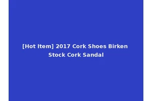 [Hot Item] 2017 Cork Shoes Birken Stock Cork Sandal