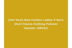 [Hot Item] New Fashion Ladies V Neck Short Sleeve Knitting Pullover Sweater (BR042)