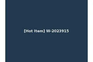 [Hot Item] W-2023915