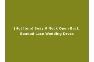 [Hot Item] Seay V Neck Open Back Beaded Lace Wedding Dress