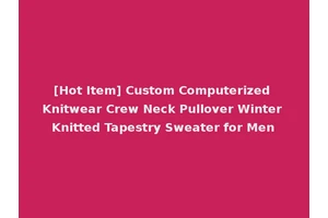 [Hot Item] Custom Computerized Knitwear Crew Neck Pullover Winter Knitted Tapestry Sweater for Men