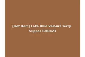 [Hot Item] Lake Blue Velours Terry Slipper GHD423