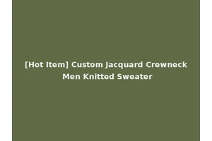 [Hot Item] Custom Jacquard Crewneck Men Knitted Sweater