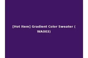 [Hot Item] Gradient Color Sweater (WA003)