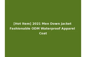 [Hot Item] 2021 Men Down Jacket Fashionable ODM Waterproof Apparel Coat
